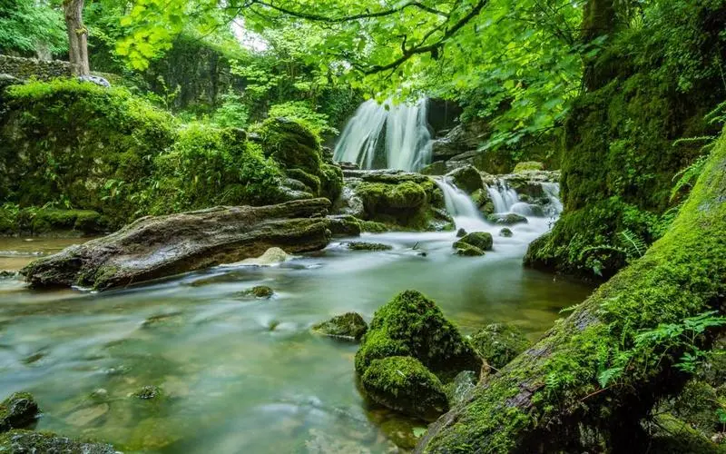 智能环保高性能